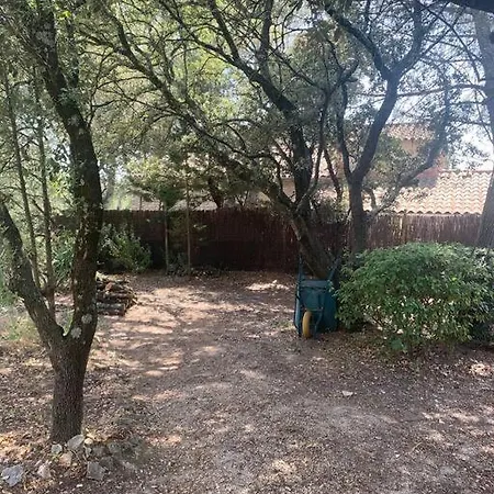 En Rez-de-jardin Arbore Avec Acces Piscine Et Clim فينوف ليز أفيجْنْ