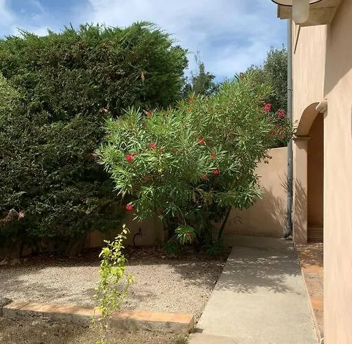 En Rez-de-jardin Arboré Avec Accès Piscine Et Clim Appartement *