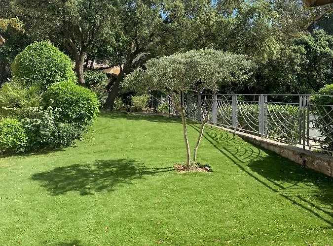 En Rez-de-jardin Arbore Avec Acces Piscine Et Clim Appartement
