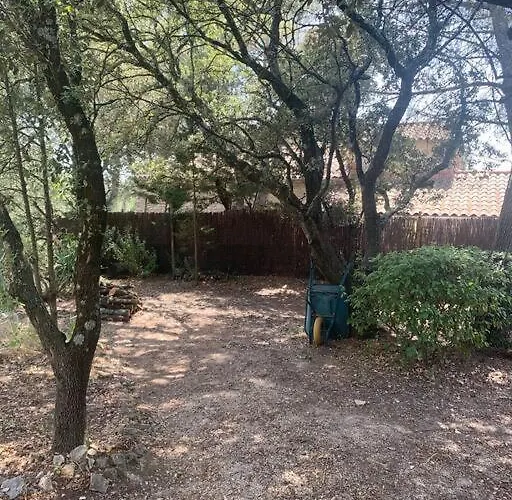 En Rez-de-jardin Arboré Avec Accès Piscine Et Clim Villeneuve-lès-Avignon